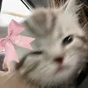 lexclusive_13