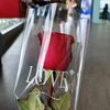 shafiq99005