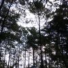 el.mira70