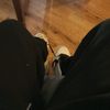 turtle1234088