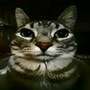 unrandommas03