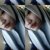 silvibriosd