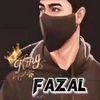fazalbhai80