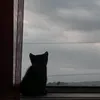 tt_tv09