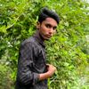 kingtamim245