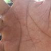 im32682