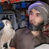 malikrehmat99