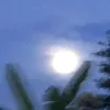 huonggglyy1