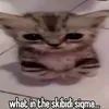 slvtforya_