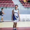 xylestery