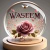 waseem.abbas8985