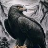 arnqalbi