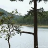 buongdoi0