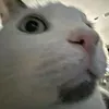thecoolinspired