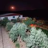pekmezci27