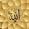 user71613623659563