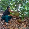 thiet.huynh4