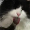 tako_11111