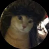 fawck_dizsh1t