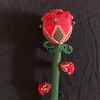 gul_8896