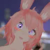 rabbitfemboy