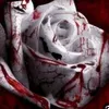 user83106209143047