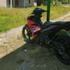 torrxzzzy