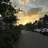 _0318vd