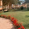 nourmhmoud38