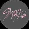 stray.kids50582