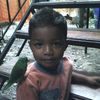 dennis.braulio