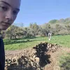 ollsirdognascallo