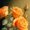 fares.farhoud