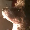 rampo.ciccio