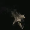 5._may6
