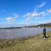 gardelianding