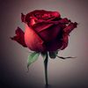 mila.ysr