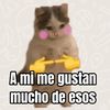 chicomeme24
