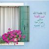 chahiradjafer4