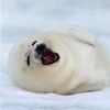 ghostingyooouu