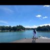andrennet_