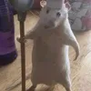 raimpxl