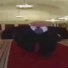 _____p.u.t.i.n_____