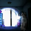 ⓘ пользователь заблокирован