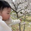 chiiha02