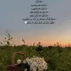 aleaeob1990