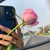 mennamohammed7561