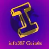 info387guine