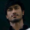 bhatti8162