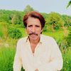 shahid.abbas437